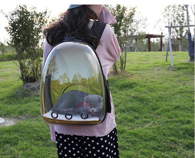 Cat Backpack Carrier Bubble Bag, Transparent Space Capsule Pet Carrier Dog Hiking Backpack, Small Dog Backpack Carrier for Cats Puppies Airline Approved Travel Carrier Outdoor Use Black