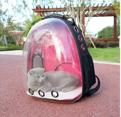 Cat Backpack Carrier Bubble Bag, Transparent Space Capsule Pet Carrier Dog Hiking Backpack, Small Dog Backpack Carrier for Cats Puppies Airline Approved Travel Carrier Outdoor Use Black